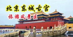 摘花欧美俄罗斯大骚逼破处中国北京-东城古宫旅游风景区