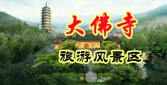 粗黑肉棒捣出白沫在线观看中国浙江-新昌大佛寺旅游风景区
