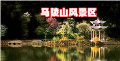 插美女B爽