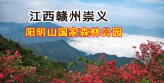 外囯人后入小视频